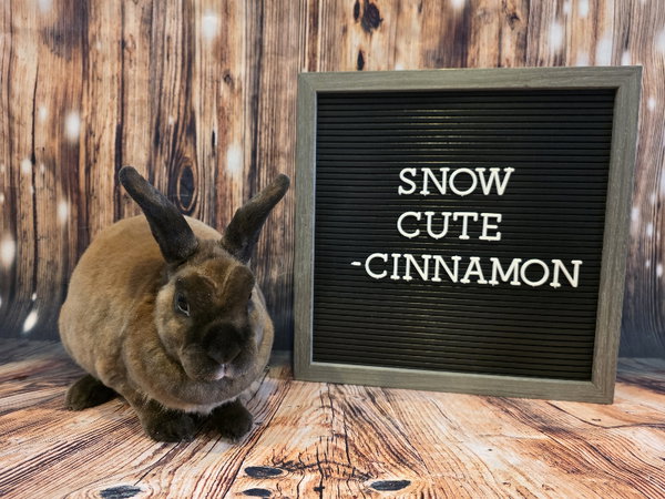 Cinnamon