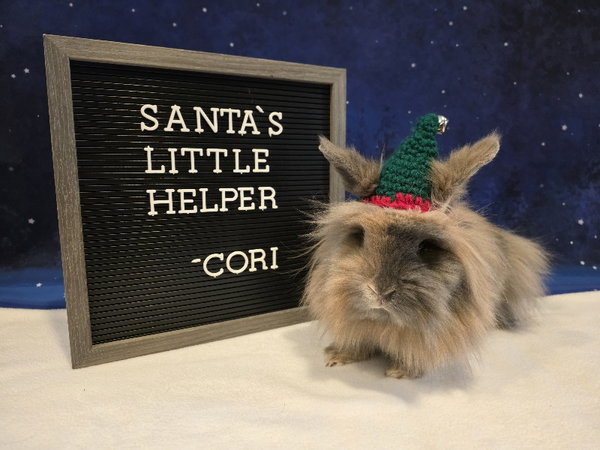 Cori
