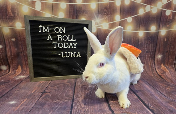 Luna