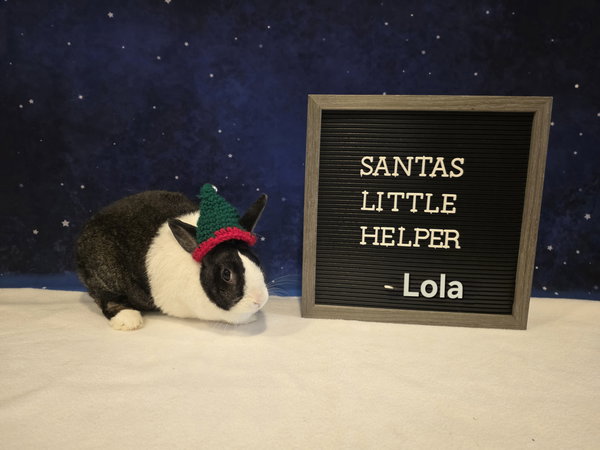 Lola