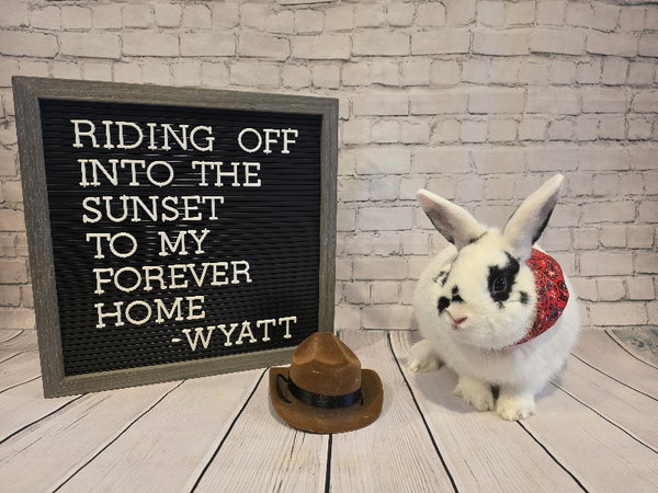 Wyatt