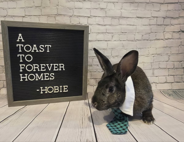 Hobie