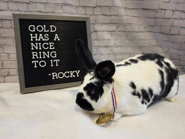 Rocky