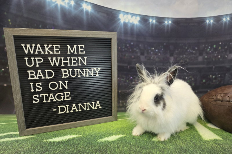 Dianna Image