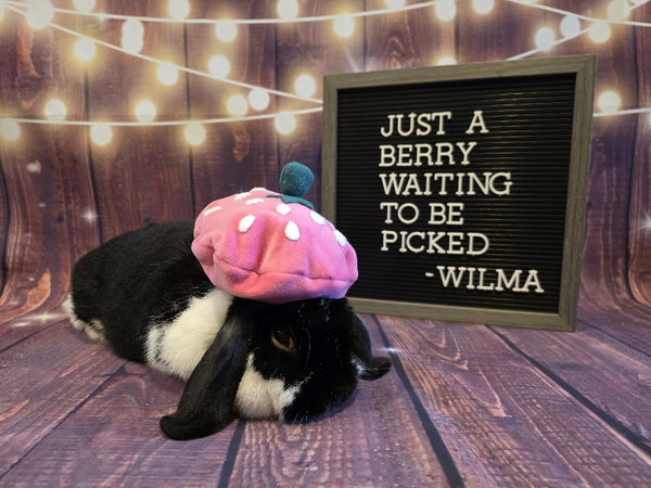 Wilma