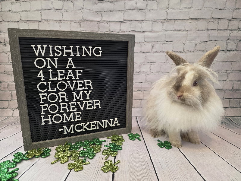 McKenna Image