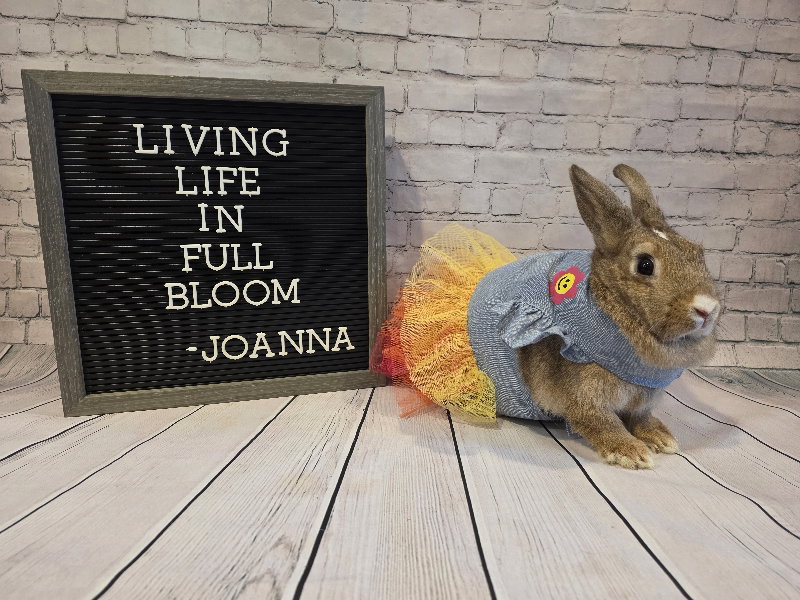 Joanna Image