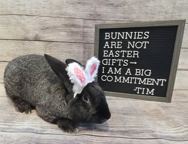 Tim