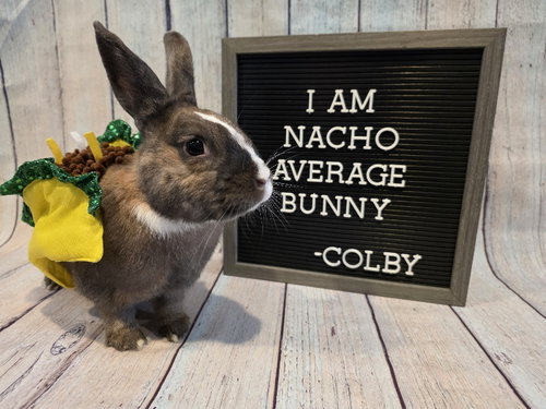 COLBY