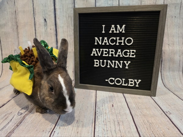 Colby