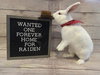 Raiden - Photo 1