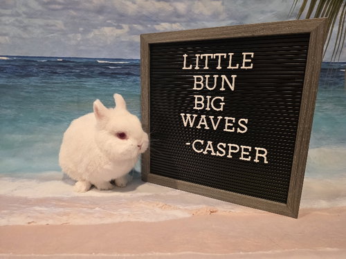 CASPER