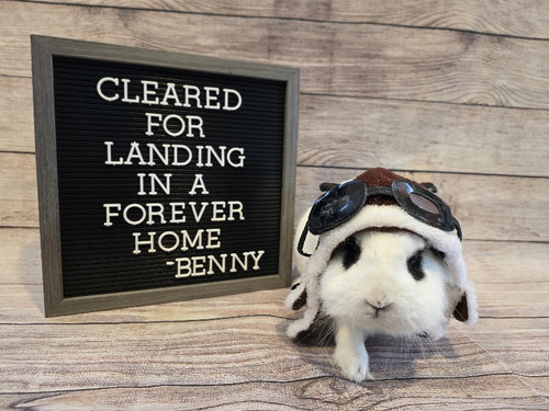Benny
