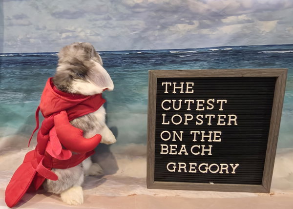 Gregory