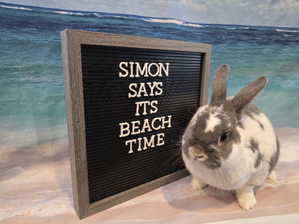 Simon