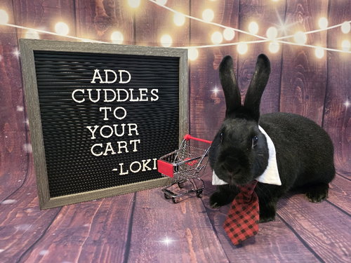 Loki
