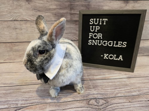 Kola photo 2