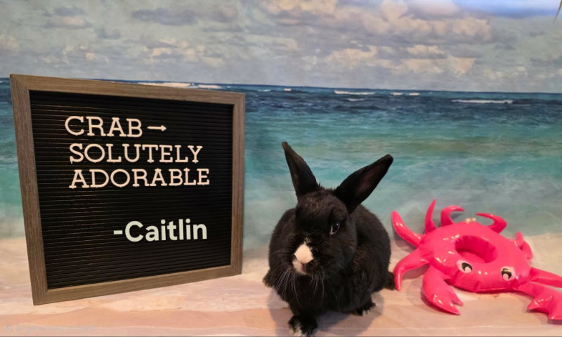 Caitlin, photo 2