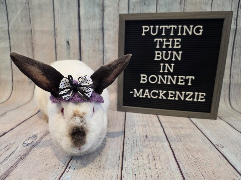 Mackenzie, photo 2