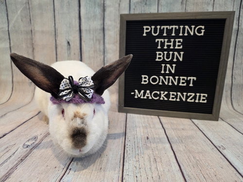 Photo 2 of Mackenzie