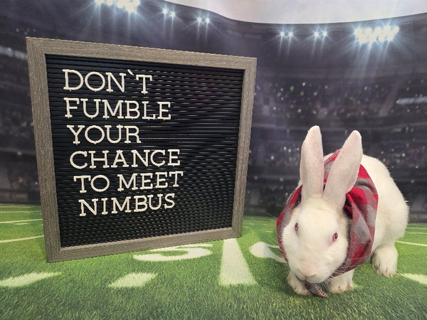 Nimbus