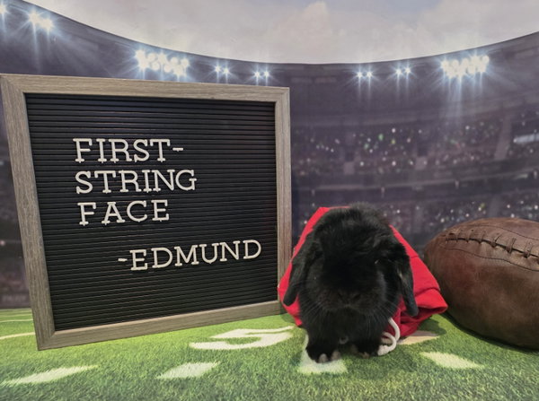 Edmund