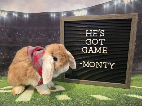 Monty
