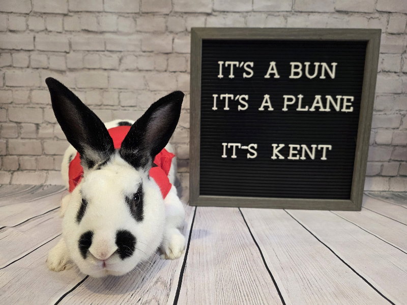 Kent, photo 2