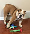 Walter