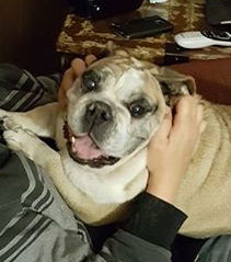 Gertrude
