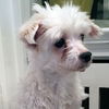 Ottilie
