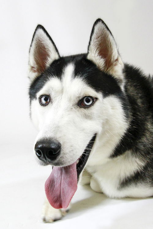 Yukon