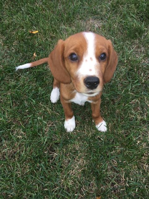 Ralph