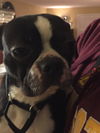 Oskar
