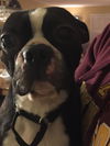 Oskar