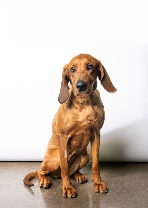 Nora