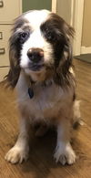 Walter