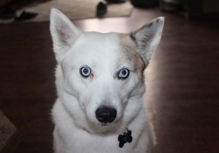 Alma