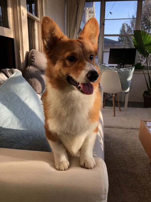 Newman