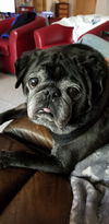Walter