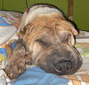 Abner