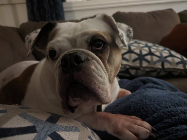 Agatha