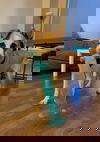 Nougat