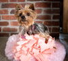 Nellie