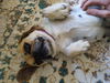Peggy