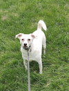 Buzz - Photo 2
