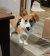 Walter