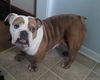 Wanda