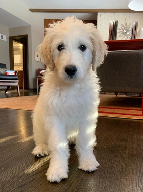 Reba