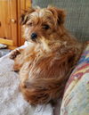 Penny